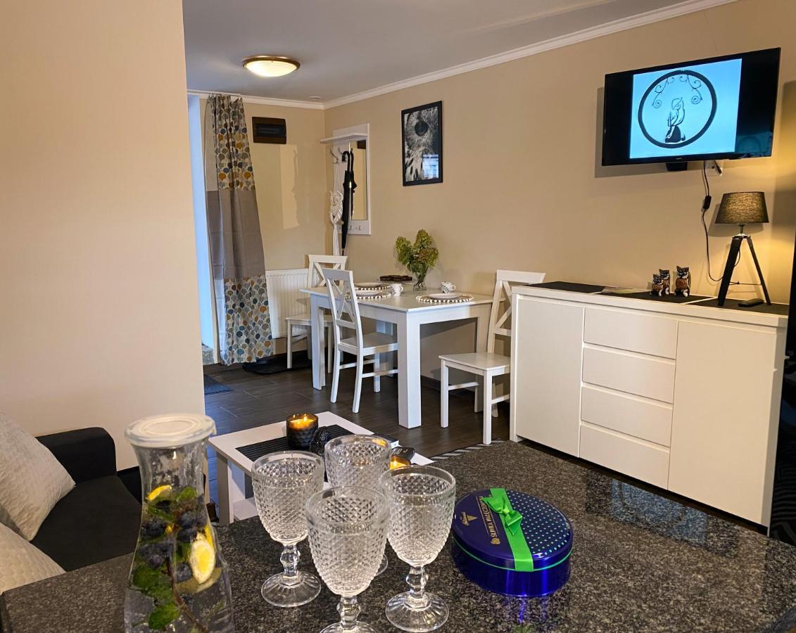 Aparthotel Kamien I Sowa à Lipinki Łużyckie Extérieur photo