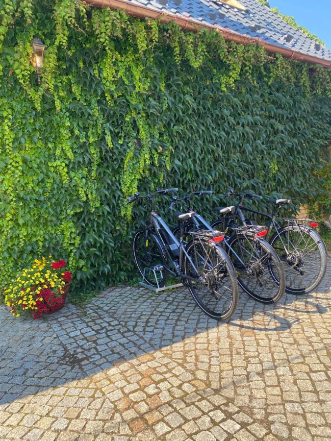 Aparthotel Kamien I Sowa à Lipinki Łużyckie Extérieur photo