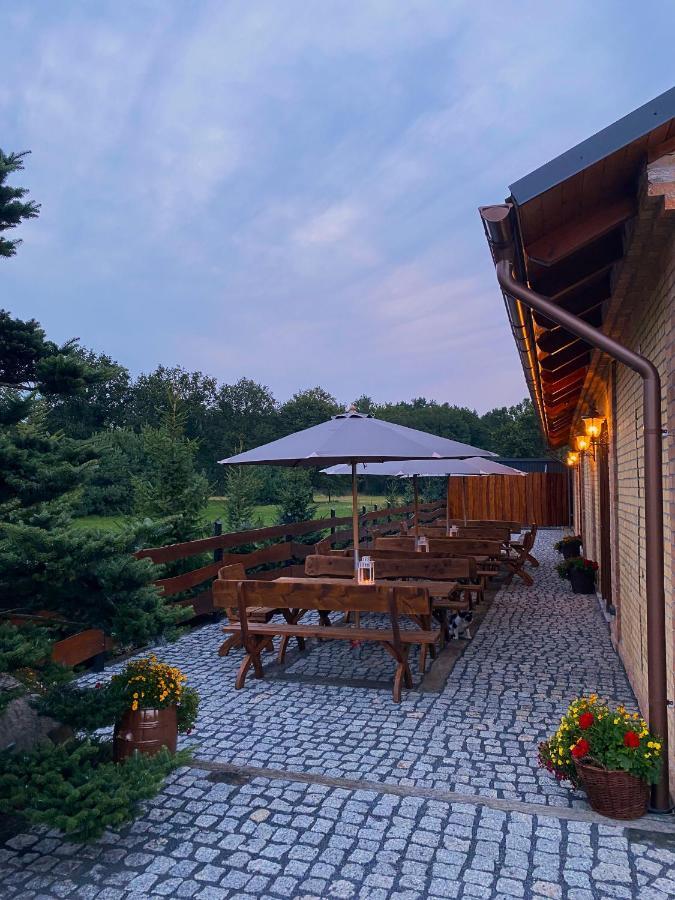 Aparthotel Kamien I Sowa à Lipinki Łużyckie Extérieur photo