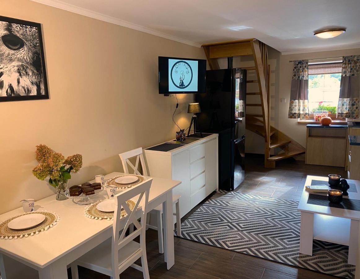 Aparthotel Kamien I Sowa à Lipinki Łużyckie Extérieur photo