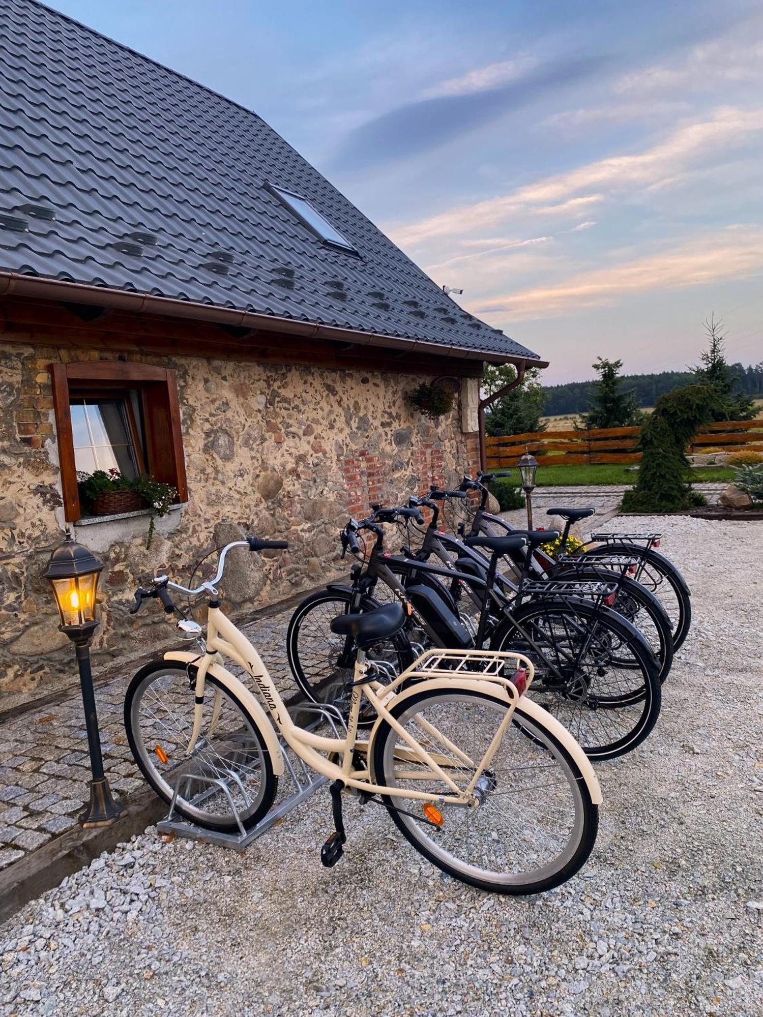 Aparthotel Kamien I Sowa à Lipinki Łużyckie Extérieur photo