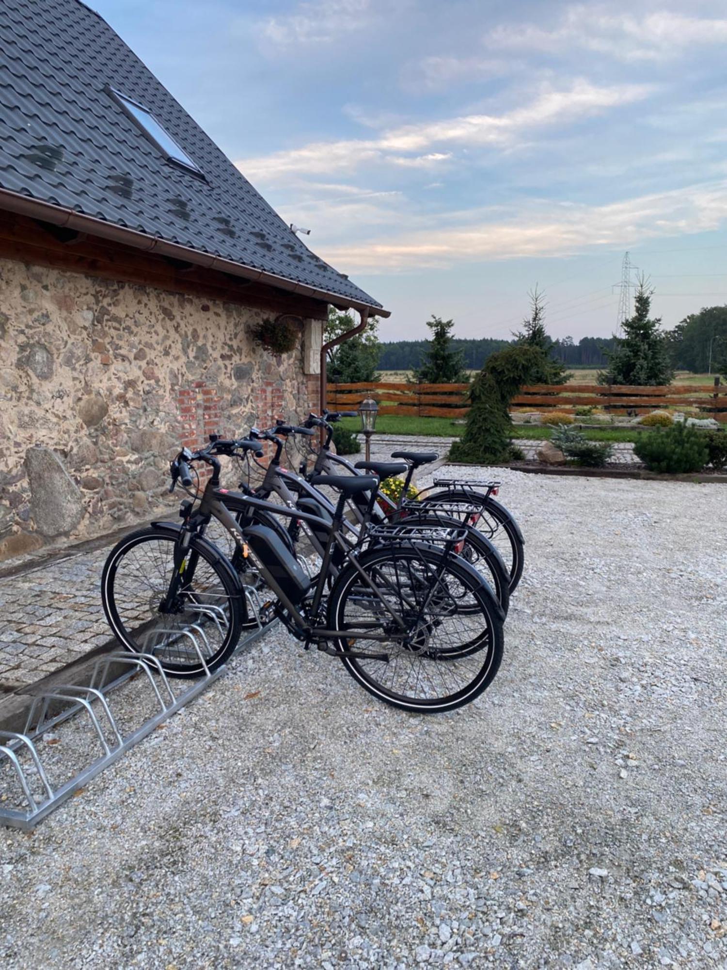Aparthotel Kamien I Sowa à Lipinki Łużyckie Extérieur photo